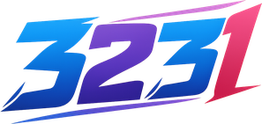 3231